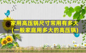 家用高压锅尺寸常用有多大(一般家庭用多大的高压锅)