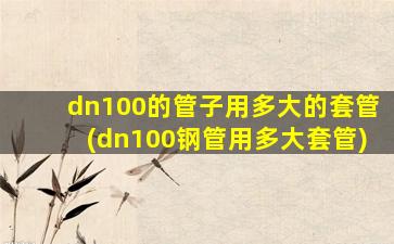 dn100的管子用多大的套管(dn100钢管用多大套管)