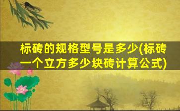 标砖的规格型号是多少(标砖一个立方多少块砖计算公式)
