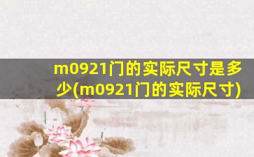 m0921门的实际尺寸是多少(m0921门的实际尺寸)