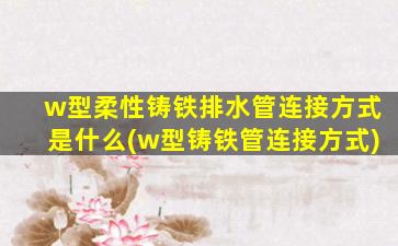 w型柔性铸铁排水管连接方式是什么(w型铸铁管连接方式)