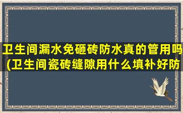 卫生间漏水免砸砖防水真的管用吗(卫生间瓷砖缝隙用什么填补好防水)