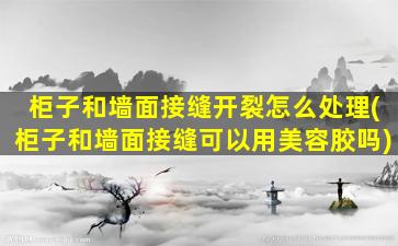 柜子和墙面接缝开裂怎么处理(柜子和墙面接缝可以用美容胶吗)