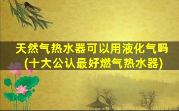 天然气热水器可以用液化气吗(十大公认最好燃气热水器)