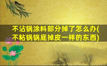 不沾锅涂料部分掉了怎么办(不粘锅锅底掉皮一样的东西)