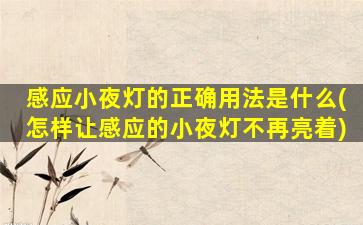感应小夜灯的正确用法是什么(怎样让感应的小夜灯不再亮着)