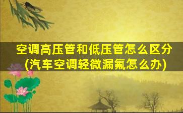 空调高压管和低压管怎么区分(汽车空调轻微漏氟怎么办)