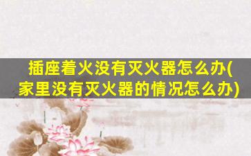 插座着火没有灭火器怎么办(家里没有灭火器的情况怎么办)