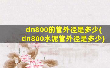 dn800的管外径是多少(dn800水泥管外径是多少)