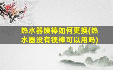 热水器镁棒如何更换(热水器没有镁棒可以用吗)