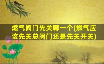燃气阀门先关哪一个(燃气应该先关总阀门还是先关开关)