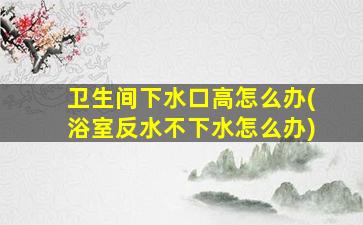 卫生间下水口高怎么办(浴室反水不下水怎么办)