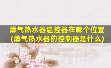 燃气热水器温控器在哪个位置(燃气热水器的控制器是什么)