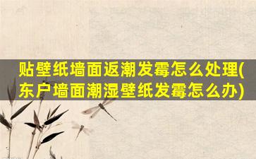 贴壁纸墙面返潮发霉怎么处理(东户墙面潮湿壁纸发霉怎么办)