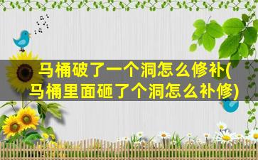 马桶破了一个洞怎么修补(马桶里面砸了个洞怎么补修)