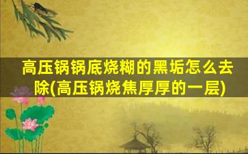 高压锅锅底烧糊的黑垢怎么去除(高压锅烧焦厚厚的一层)