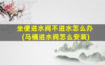 坐便进水阀不进水怎么办(马桶进水阀怎么安装)