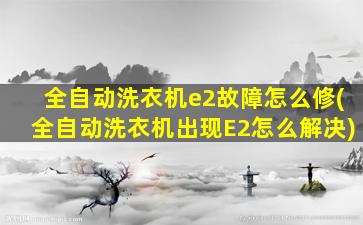 全自动洗衣机e2故障怎么修(全自动洗衣机出现E2怎么解决)