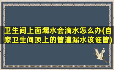 卫生间上面漏水会滴水怎么办(自家卫生间顶上的管道漏水该谁管)
