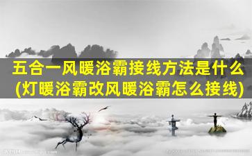 五合一风暖浴霸接线方法是什么(灯暖浴霸改风暖浴霸怎么接线)