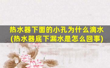 热水器下面的小孔为什么滴水(热水器底下漏水是怎么回事)