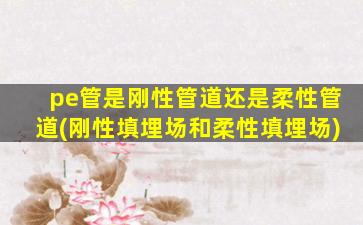 pe管是刚性管道还是柔性管道(刚性填埋场和柔性填埋场)