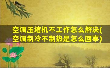 空调压缩机不工作怎么解决(空调制冷不制热是怎么回事)