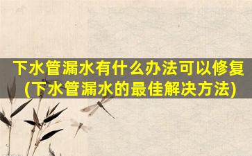 下水管漏水有什么办法可以修复(下水管漏水的最佳解决方法)