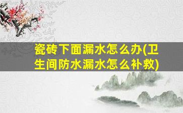 瓷砖下面漏水怎么办(卫生间防水漏水怎么补救)