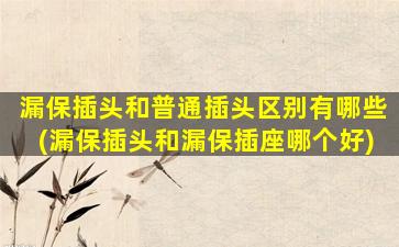 漏保插头和普通插头区别有哪些(漏保插头和漏保插座哪个好)