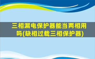 三相漏电保护器能当两相用吗(缺相过载三相保护器)