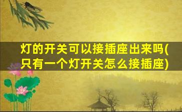 灯的开关可以接插座出来吗(只有一个灯开关怎么接插座)