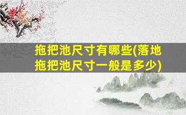 拖把池尺寸有哪些(落地拖把池尺寸一般是多少)