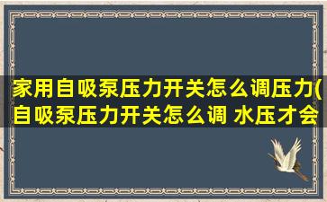 家用自吸泵压力开关怎么调压力(自吸泵压力开关怎么调 水压才会高)