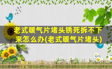 老式暖气片堵头锈死拆不下来怎么办(老式暖气片堵头)