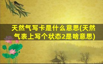 天然气写卡是什么意思(天然气表上写个状态2是啥意思)