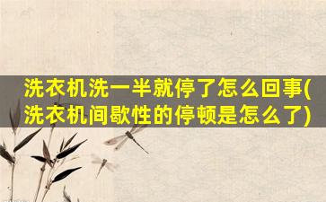 洗衣机洗一半就停了怎么回事(洗衣机间歇性的停顿是怎么了)