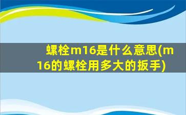 螺栓m16是什么意思(m16的螺栓用多大的扳手)
