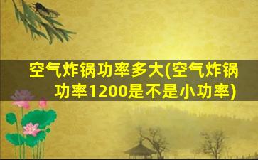 空气炸锅功率多大(空气炸锅功率1200是不是小功率)
