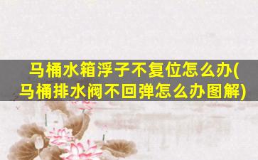 马桶水箱浮子不复位怎么办(马桶排水阀不回弹怎么办图解)