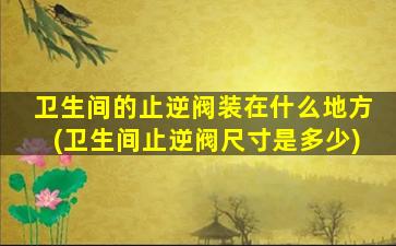 卫生间的止逆阀装在什么地方(卫生间止逆阀尺寸是多少)