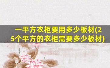 一平方衣柜要用多少板材(25个平方的衣柜需要多少板材)