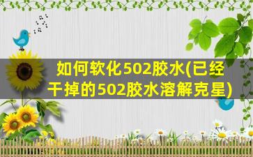 如何软化502胶水(已经干掉的502胶水溶解克星)