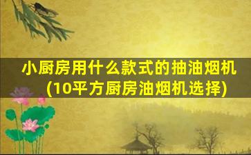 小厨房用什么款式的抽油烟机(10平方厨房油烟机选择)