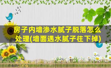 房子内墙渗水腻子脱落怎么处理(墙面遇水腻子往下掉)