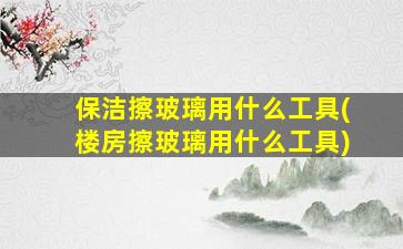 保洁擦玻璃用什么工具(楼房擦玻璃用什么工具)