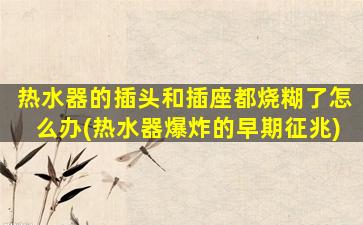 热水器的插头和插座都烧糊了怎么办(热水器爆炸的早期征兆)