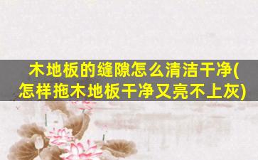 木地板的缝隙怎么清洁干净(怎样拖木地板干净又亮不上灰)