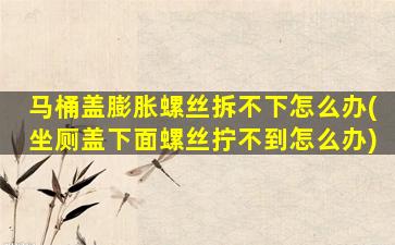 马桶盖膨胀螺丝拆不下怎么办(坐厕盖下面螺丝拧不到怎么办)