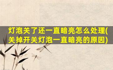 灯泡关了还一直暗亮怎么处理(关掉开关灯泡一直暗亮的原因)